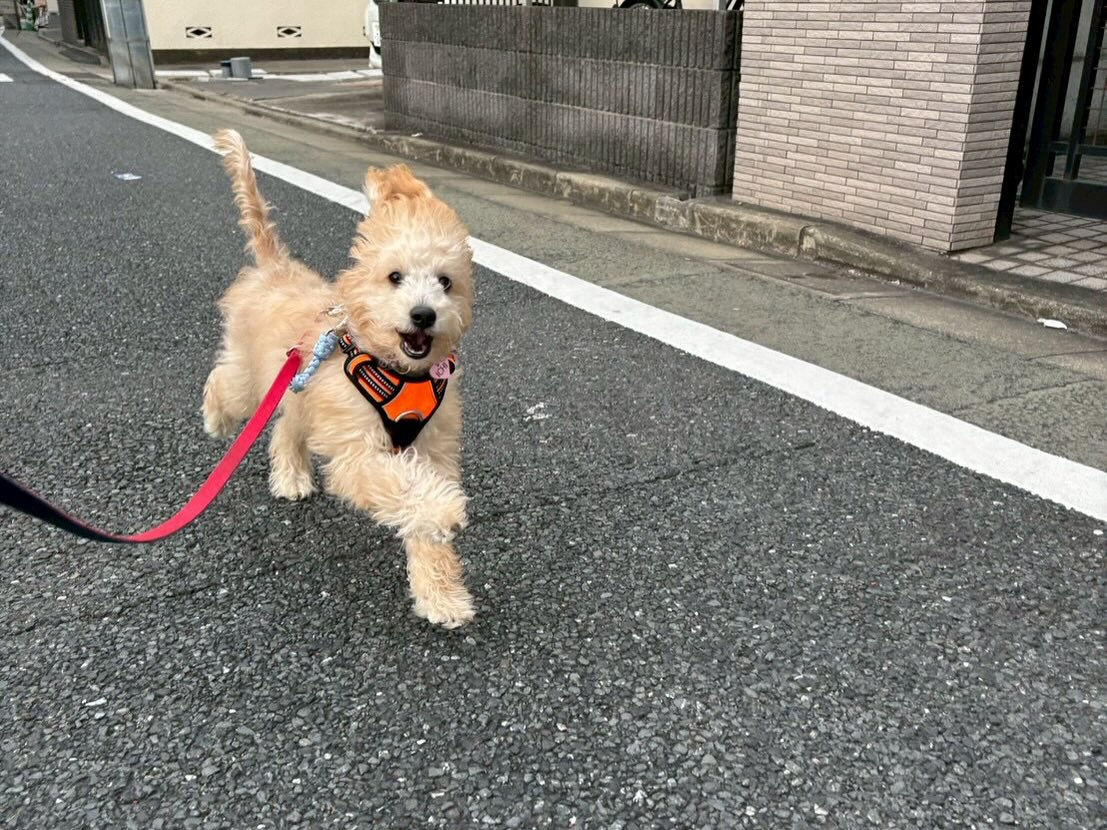 ・