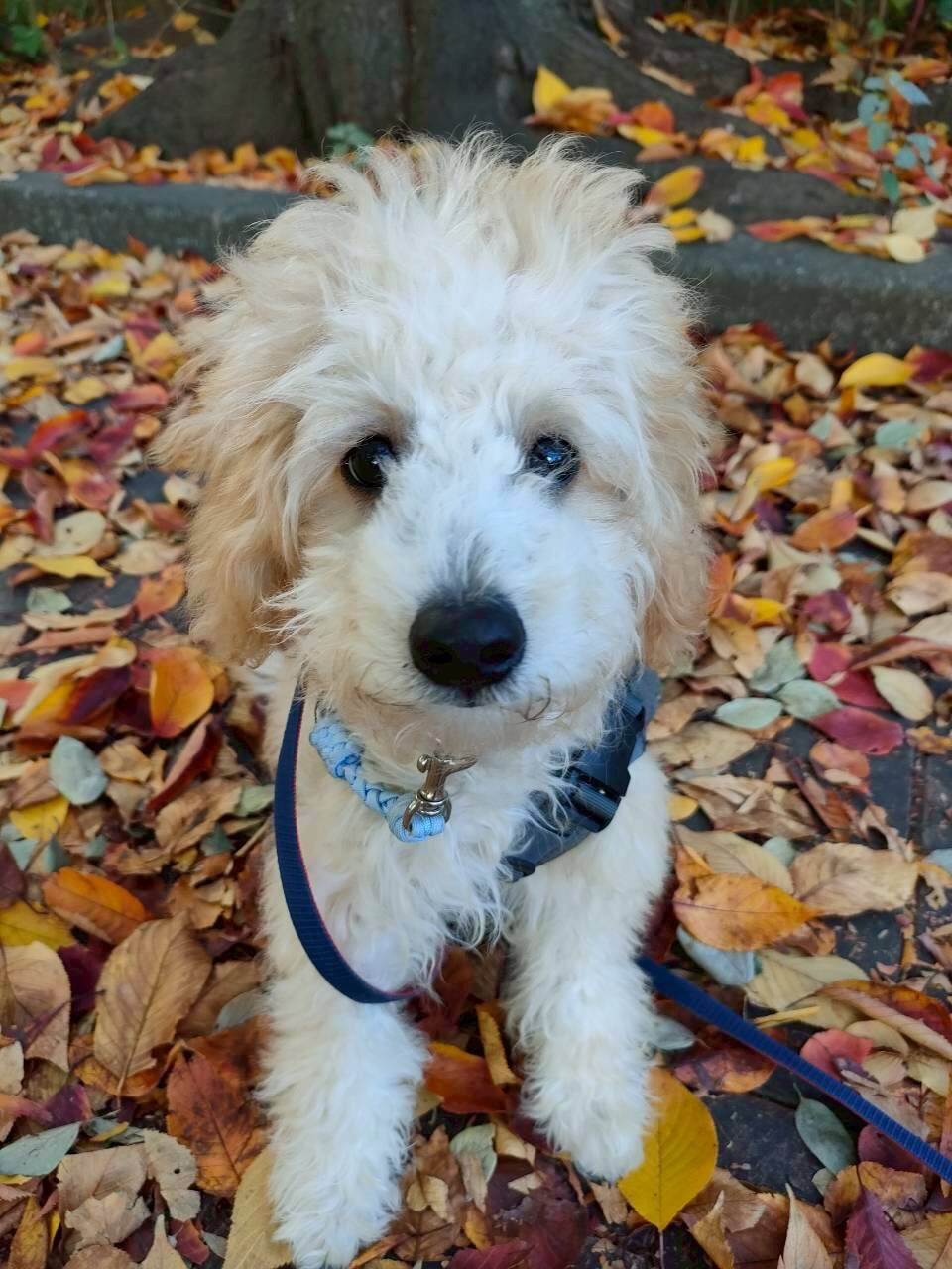 本日の様子です🐶💕