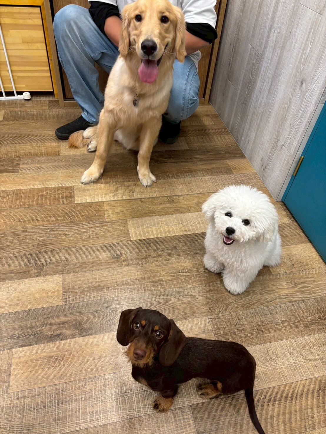 本日の様子です🐶💕