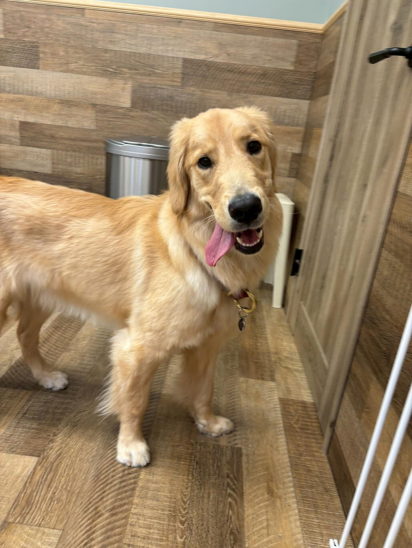 本日の様子です🐶💕