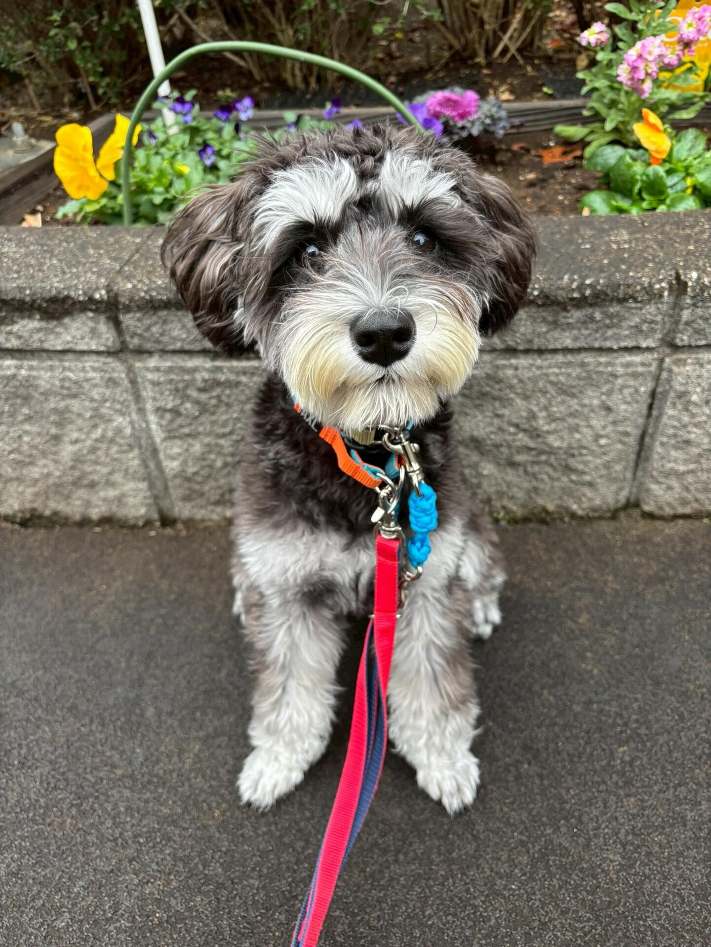 本日の様子です🐶💕