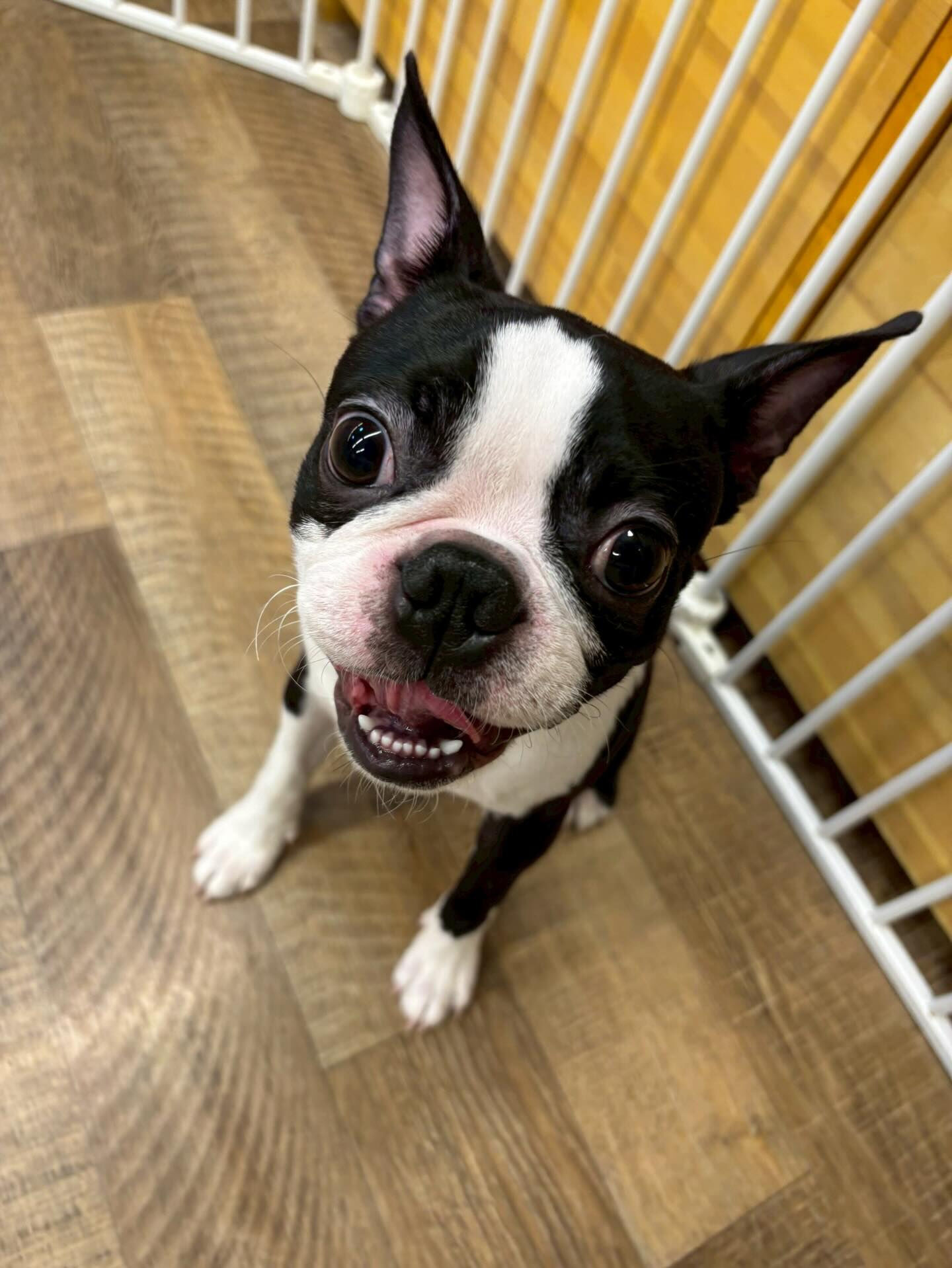 本日の様子です🐶💕