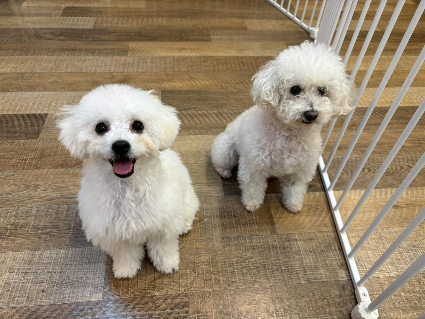 本日の様子です🐶💕