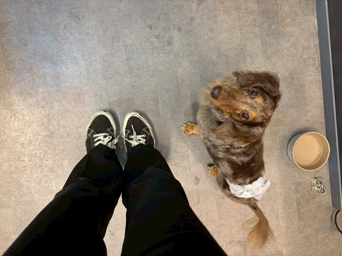 本日の様子です🐶💕