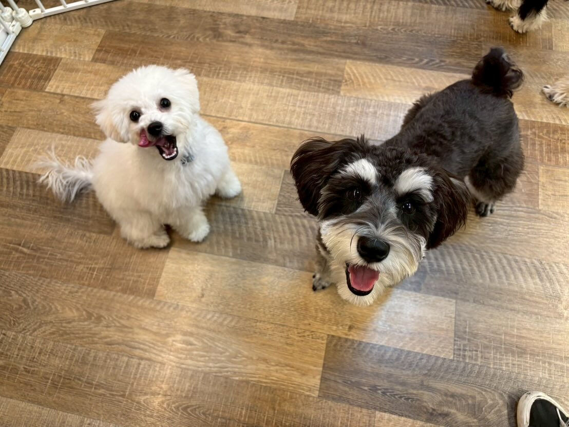 本日の様子です🐶💕