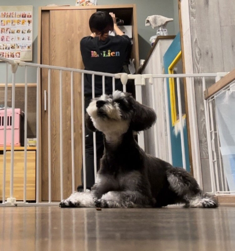 本日の様子です🐶💕