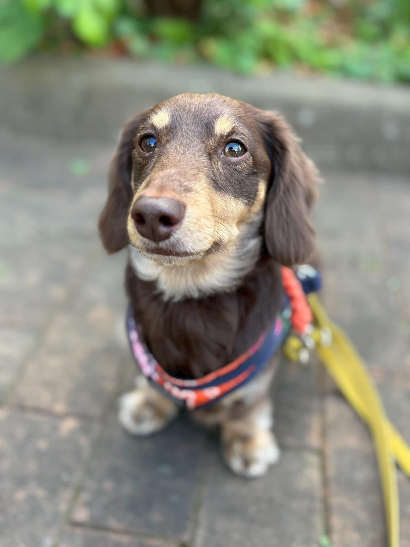 本日の様子です🐶💕