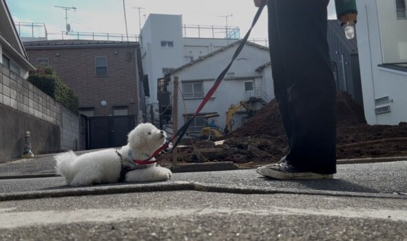 本日の様子です🐶💕