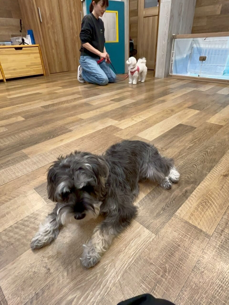 本日の様子です🐶💕