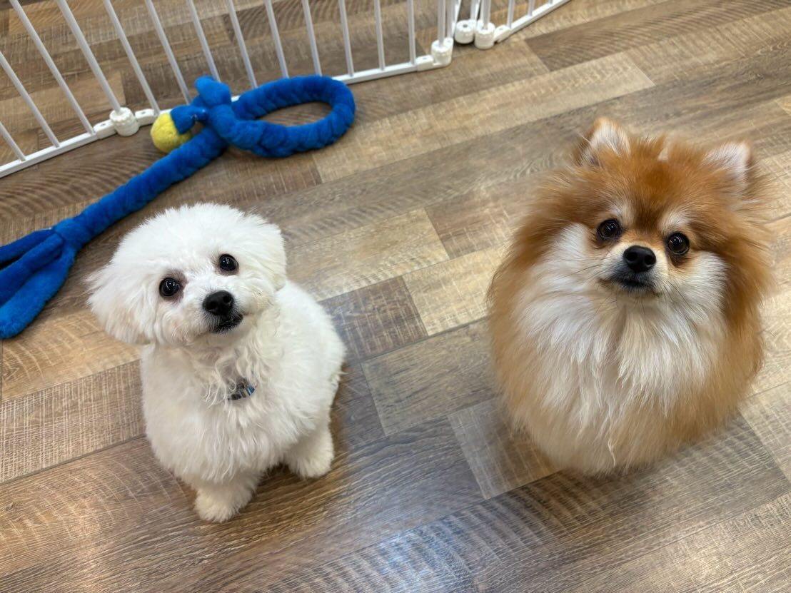 本日の様子です🐶💕