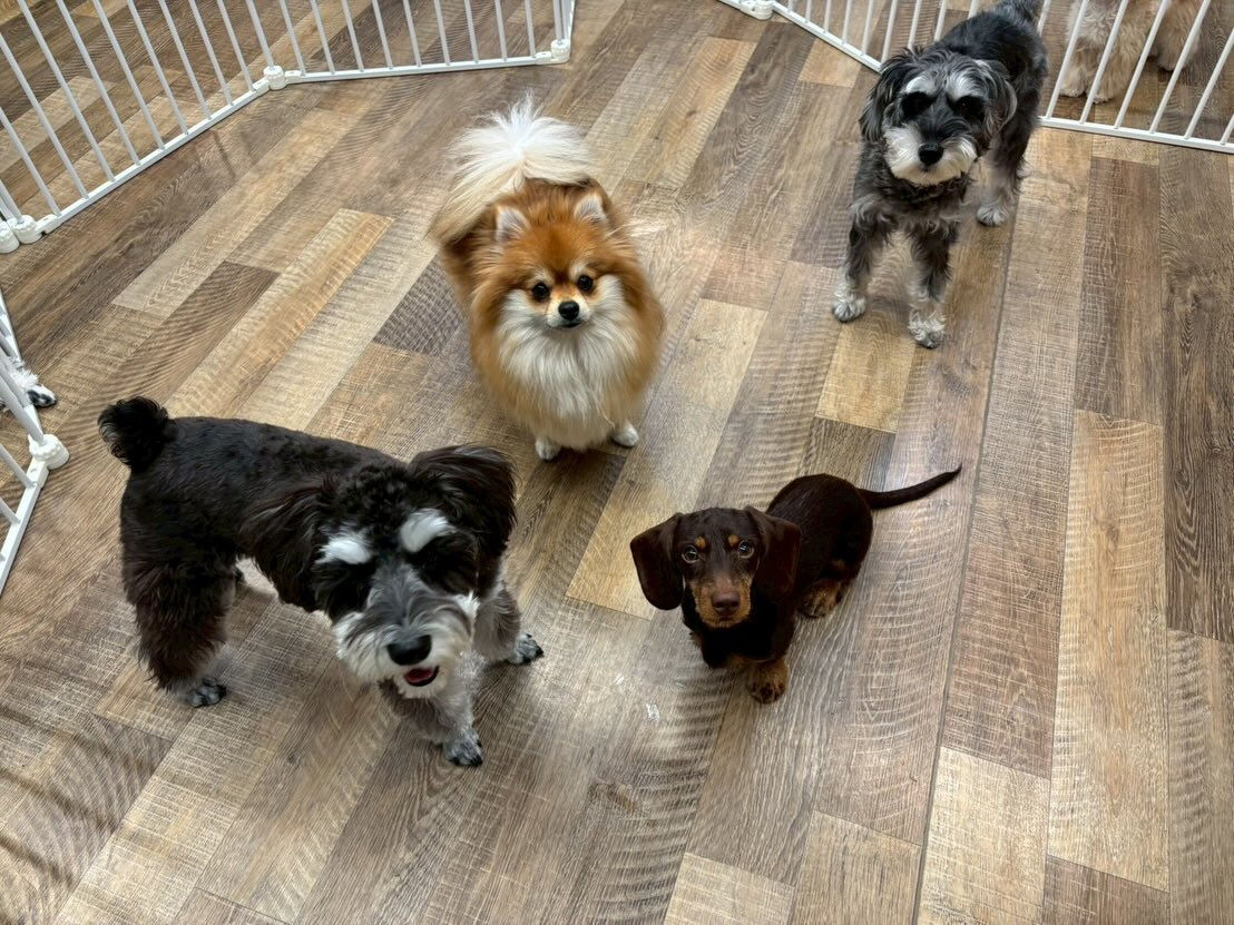 本日の様子です🐶💕