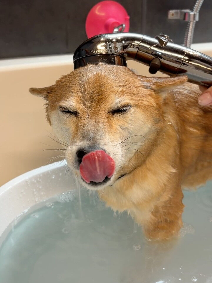 ・