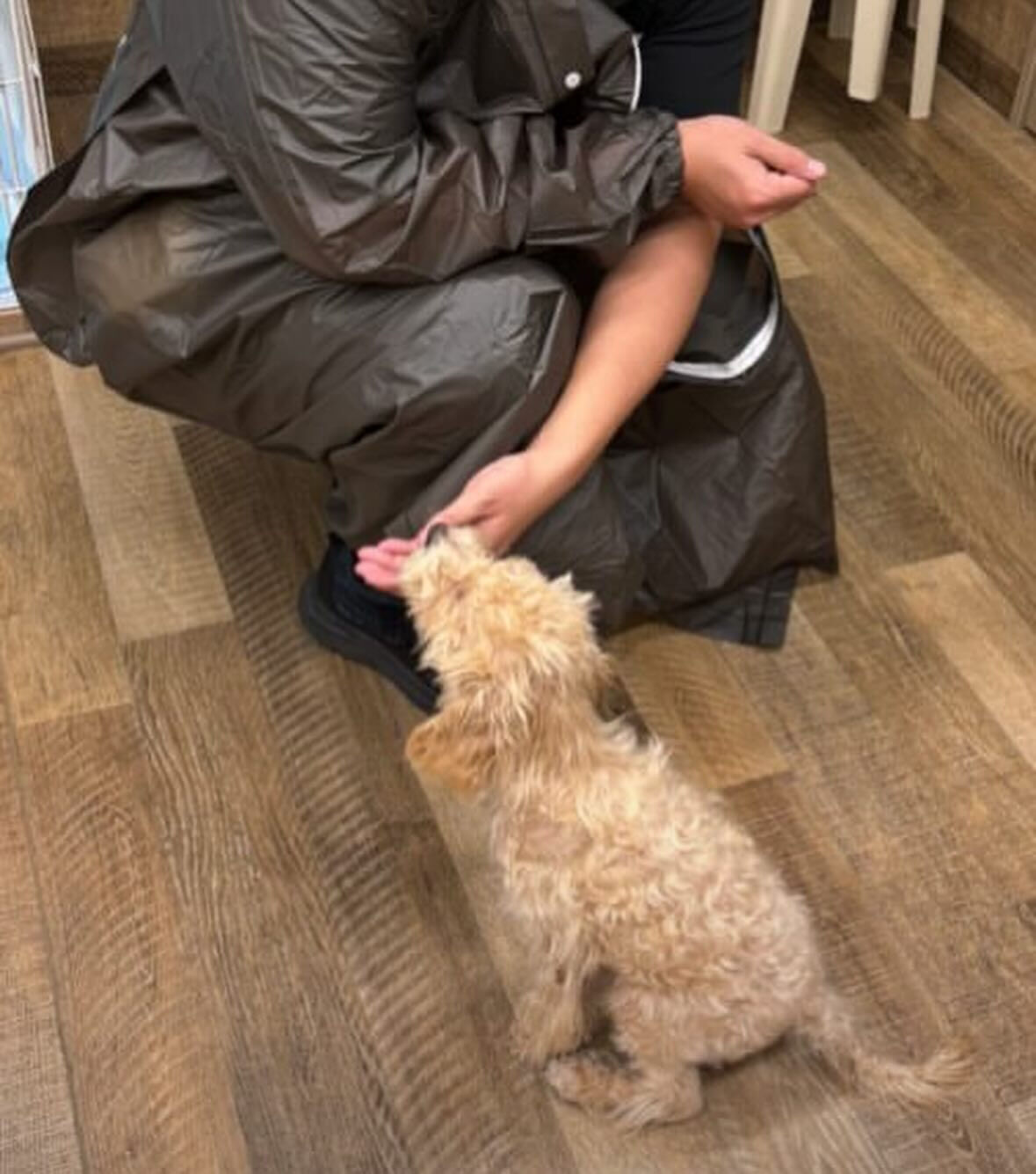 本日の幼稚園、パークの様子です🐶