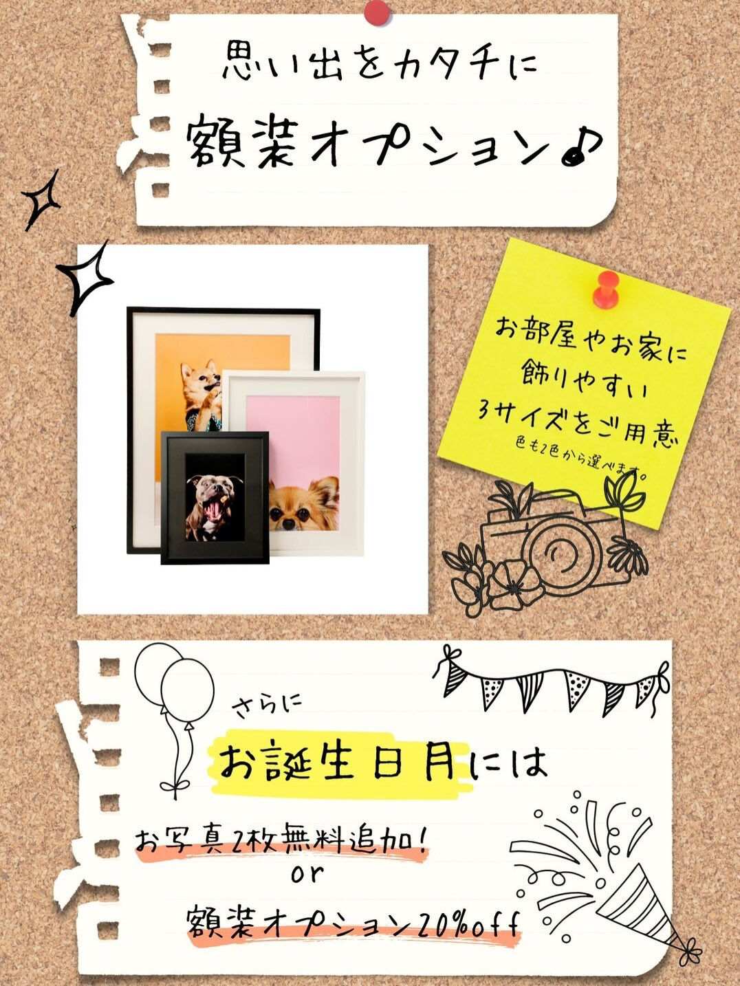 📸✨ 毎月開催！わんちゃん撮影会 ✨🐶