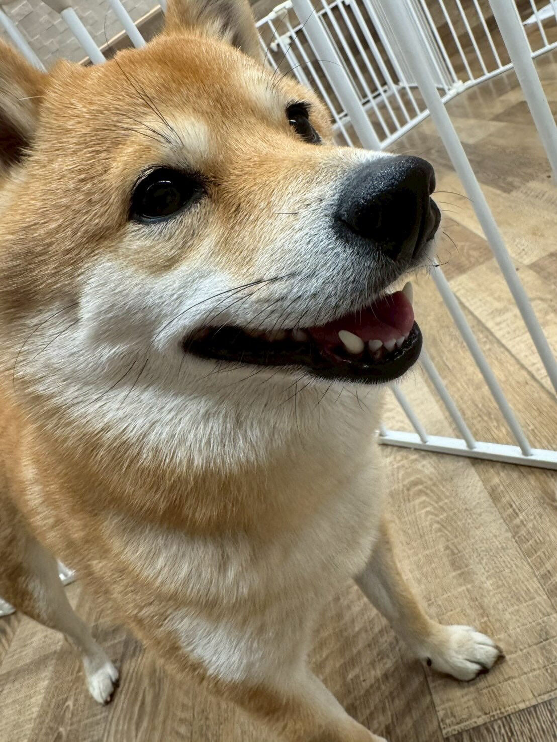 ・