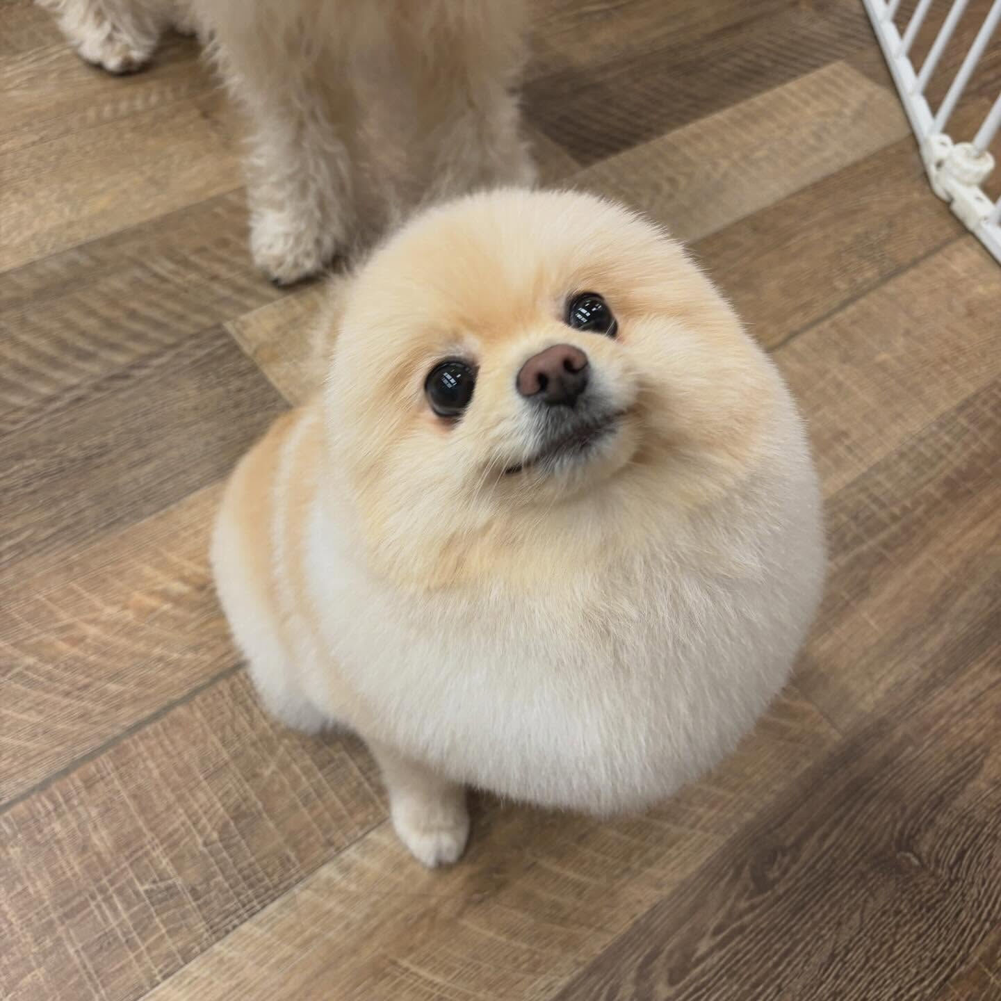 ・