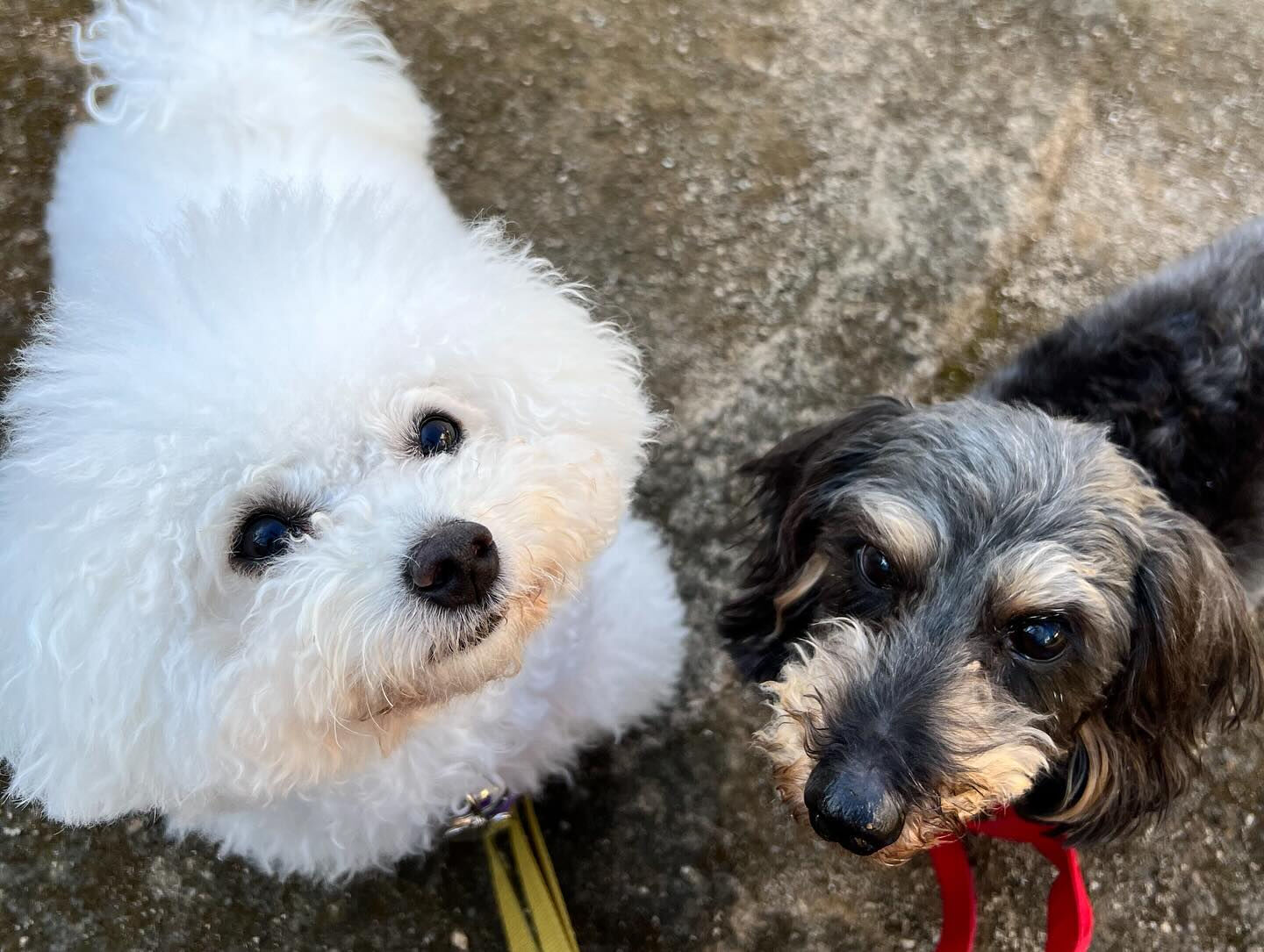 ・