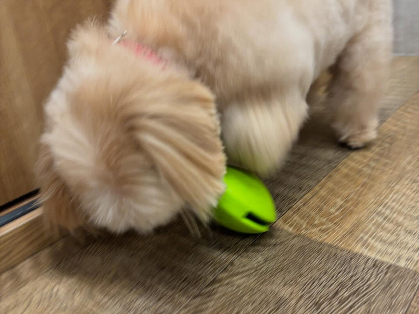・