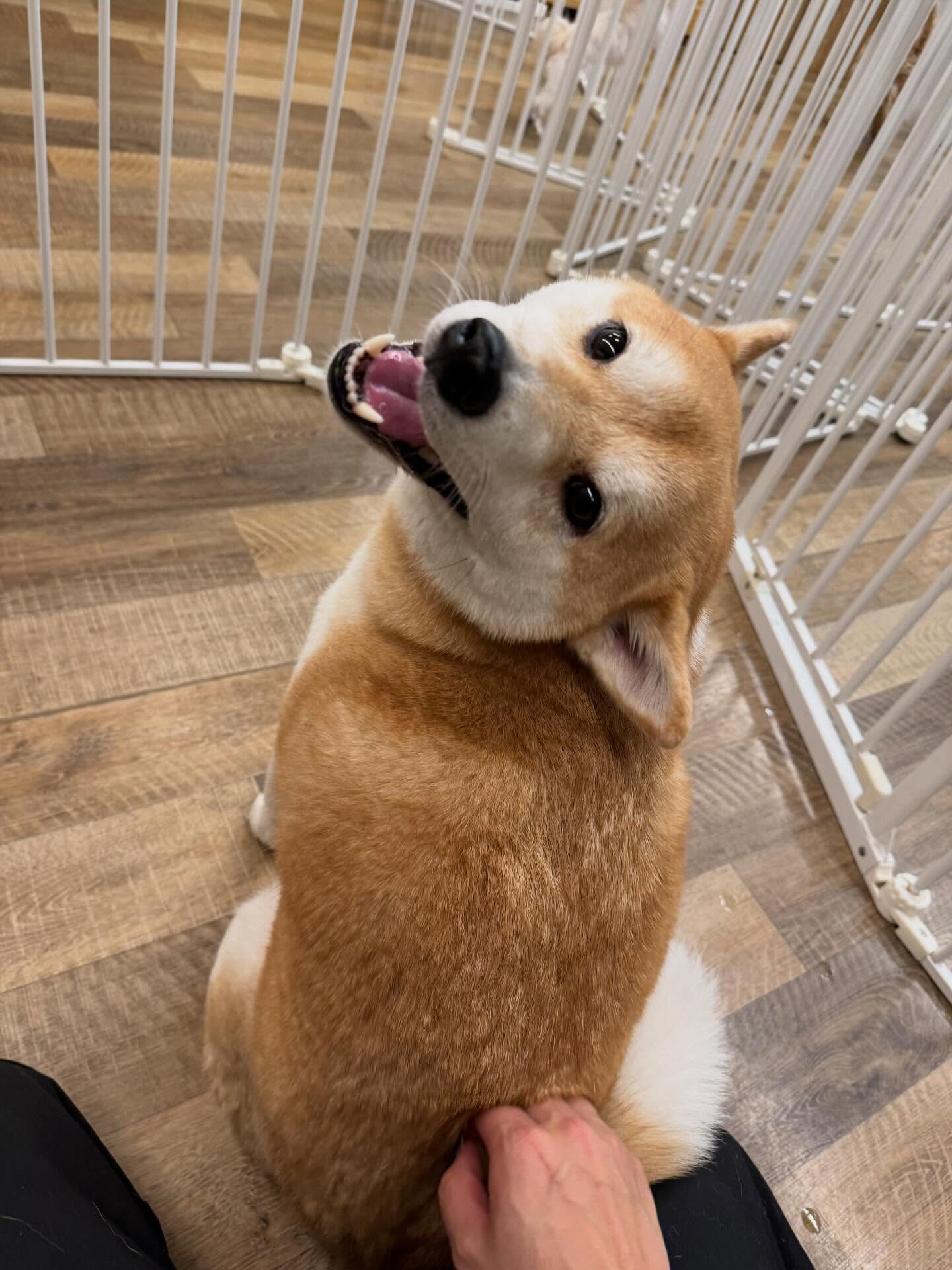 ・