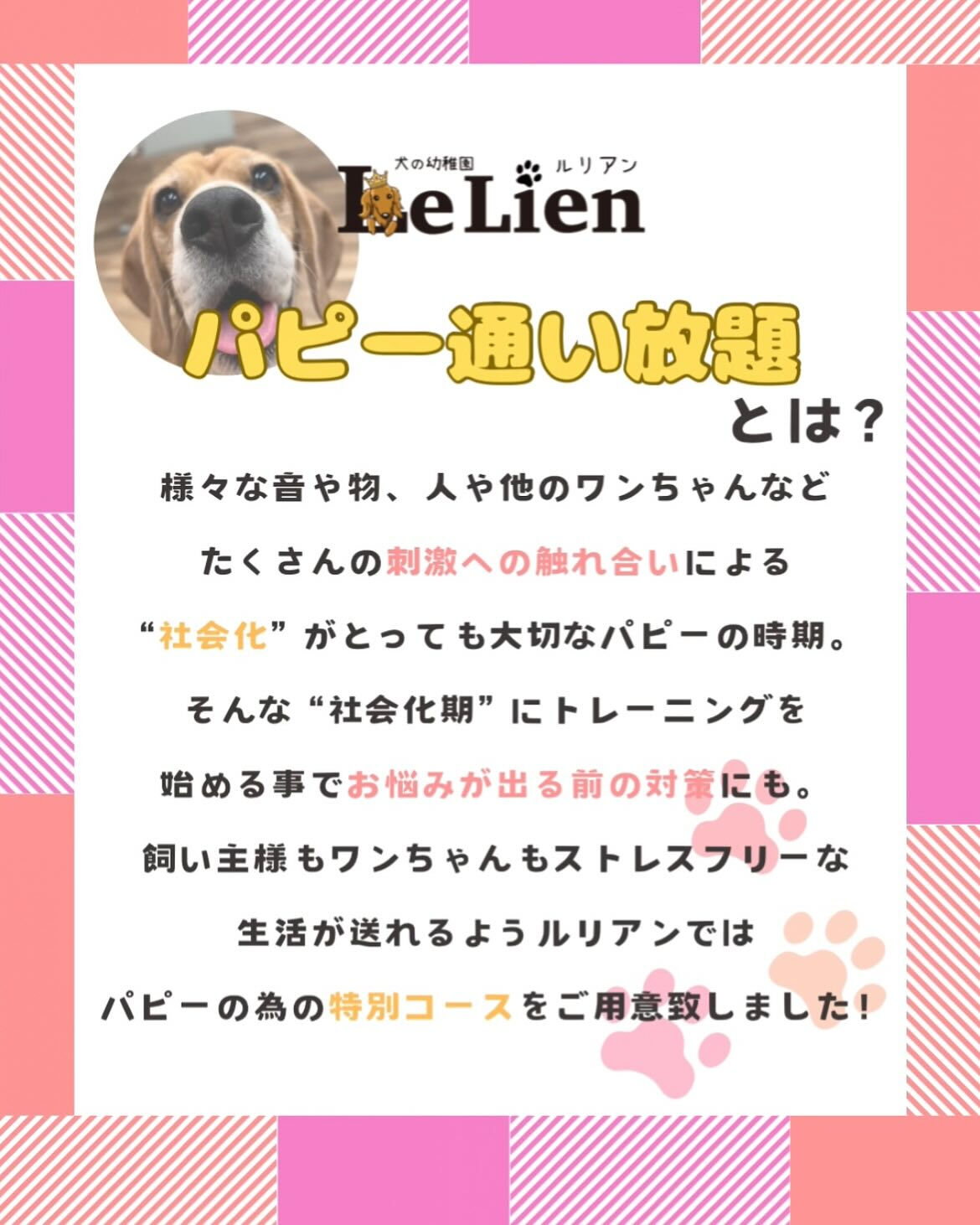 こんにちは、