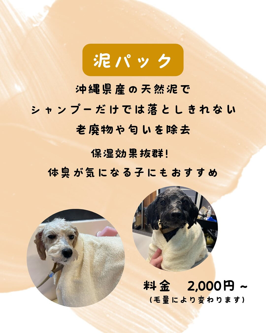 犬の幼稚園 ルリアンのトリミングより