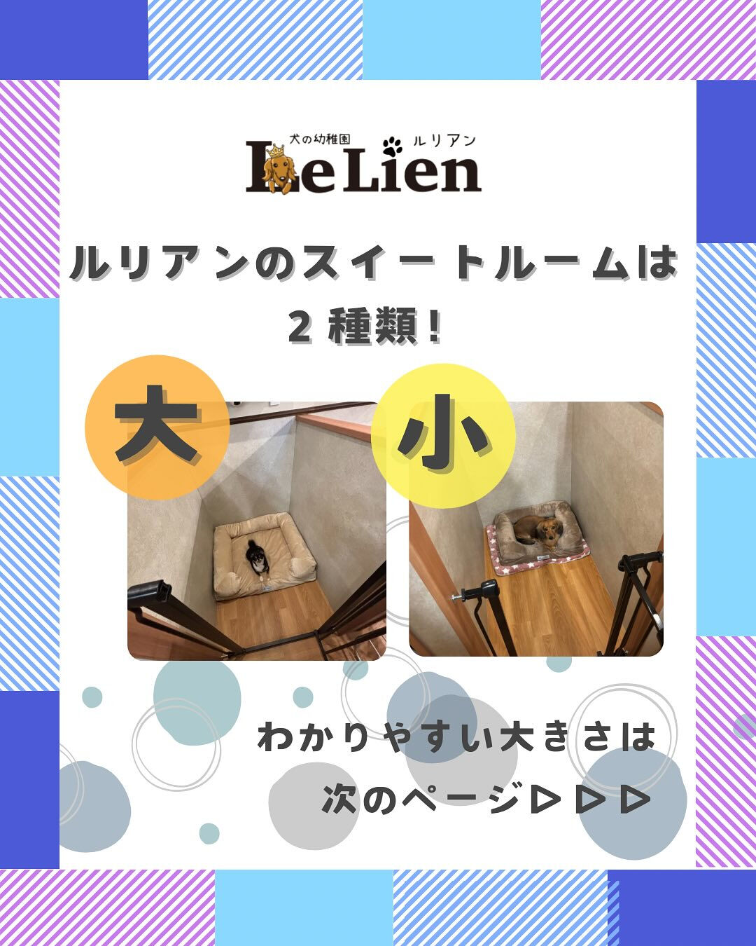 犬の幼稚園 ルリアンのホテルより