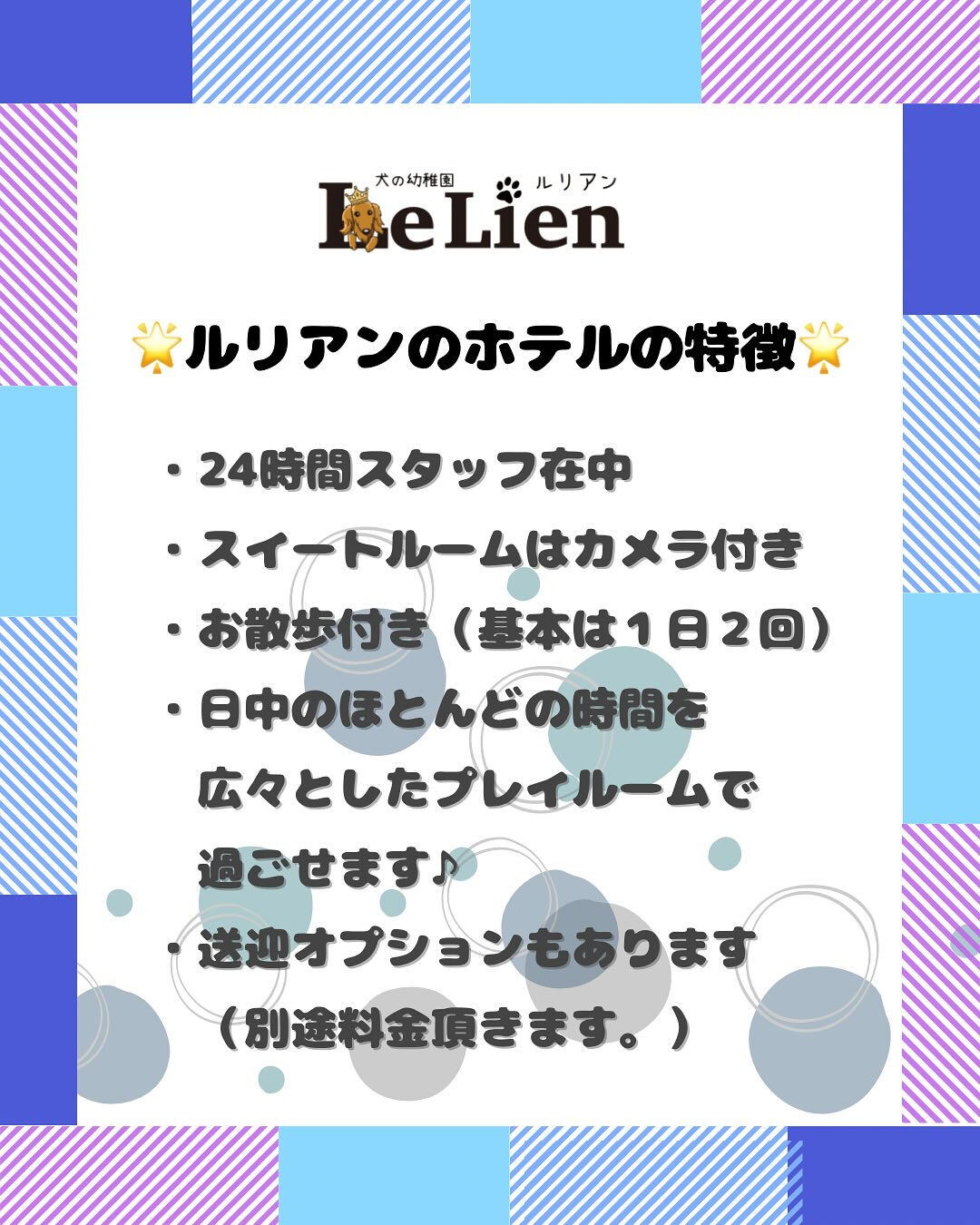 犬の幼稚園 ルリアンのホテルより