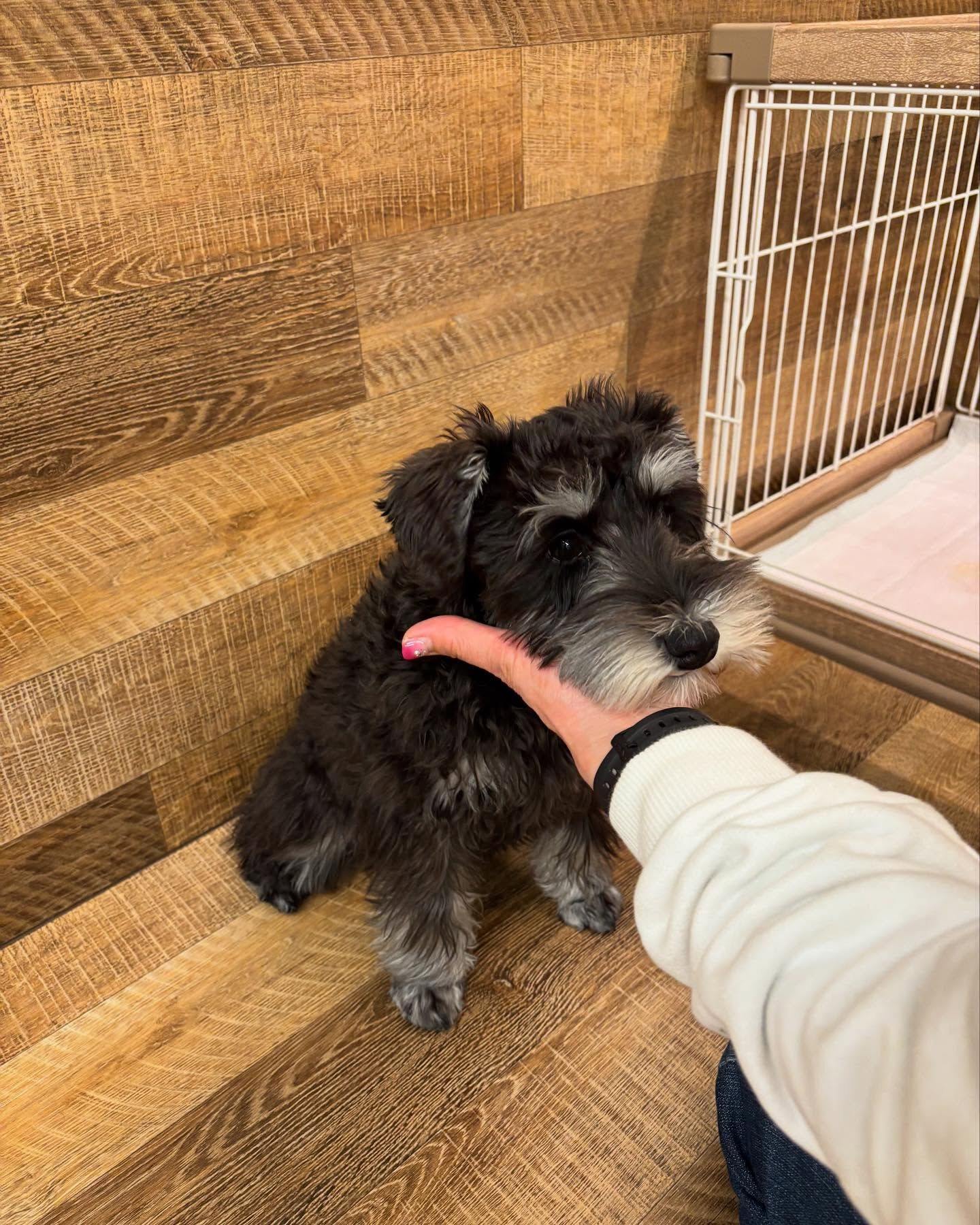 本日の幼稚園、PARKの様子です🐶💕