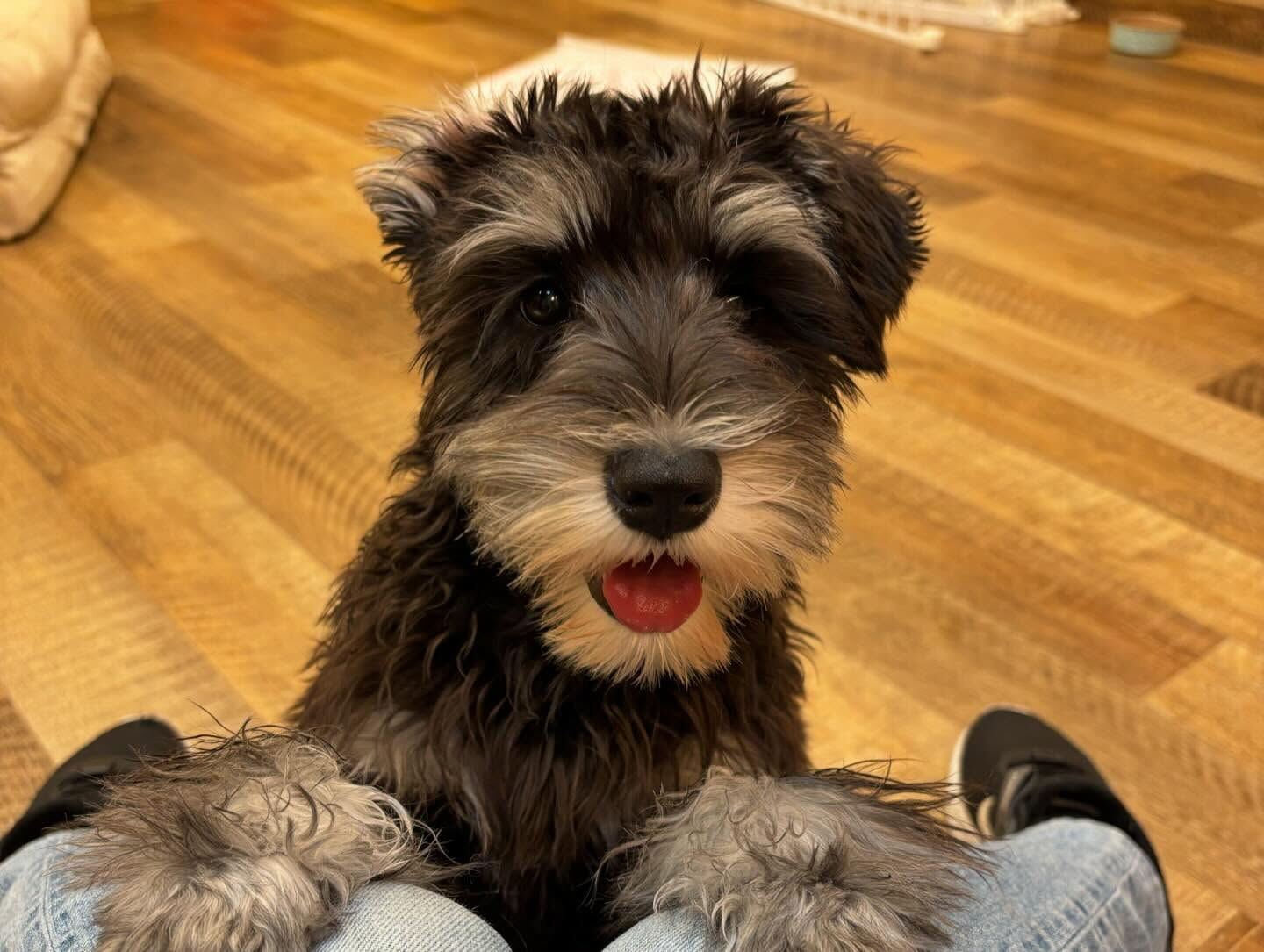 今日もみんなで楽しく過ごしました🐶💕