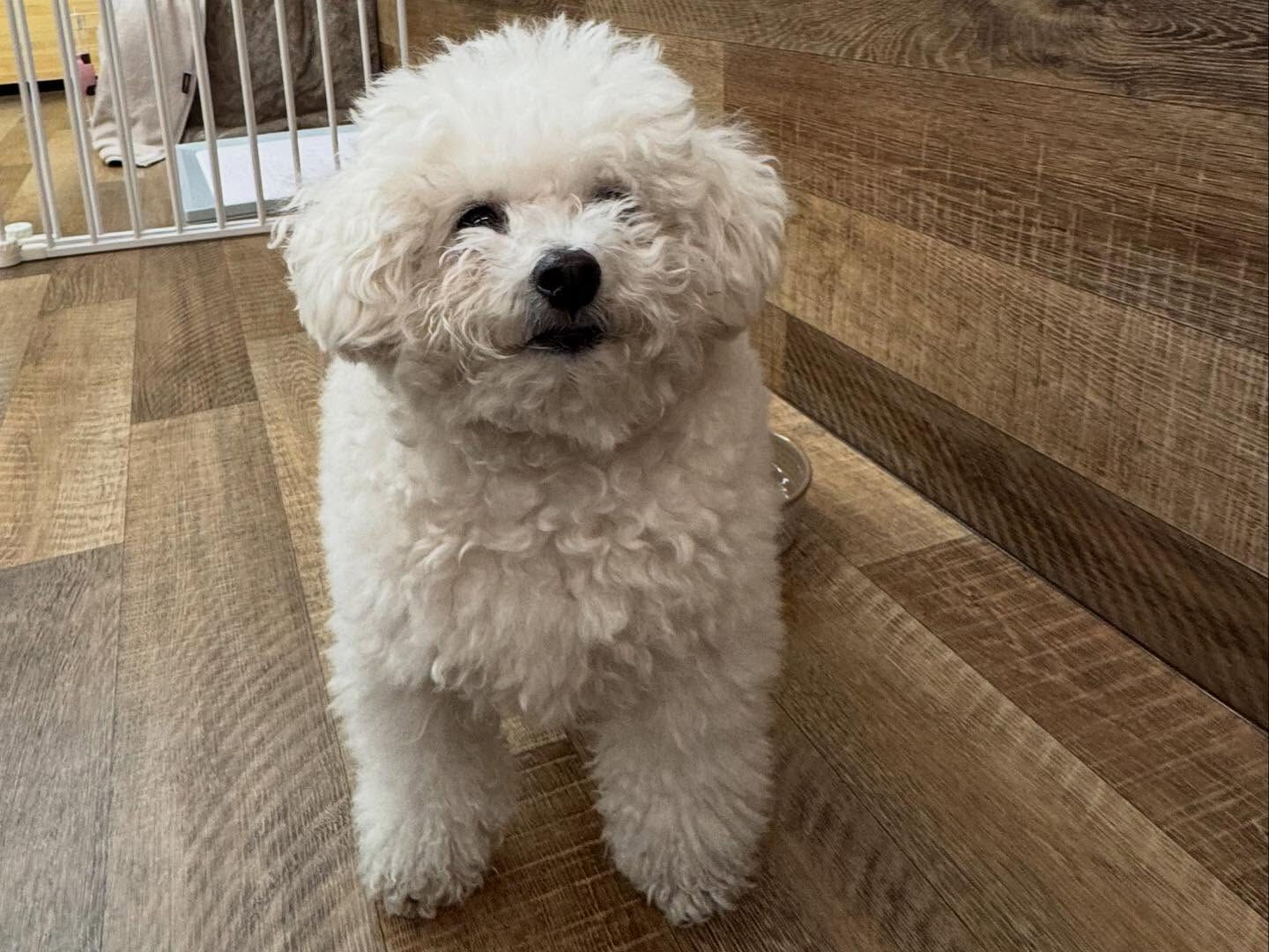 本日の幼稚園、PARKの様子です🐶💕