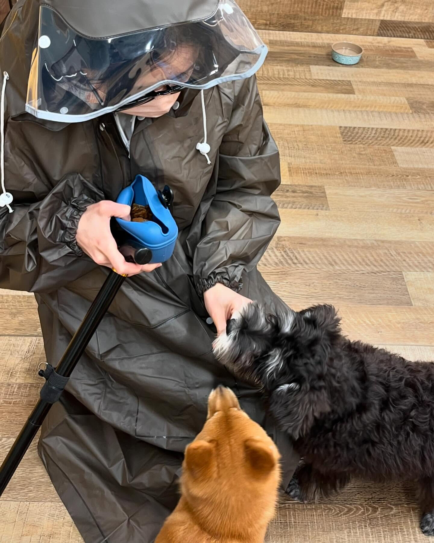 本日の幼稚園、PARKの様子です🐶💕