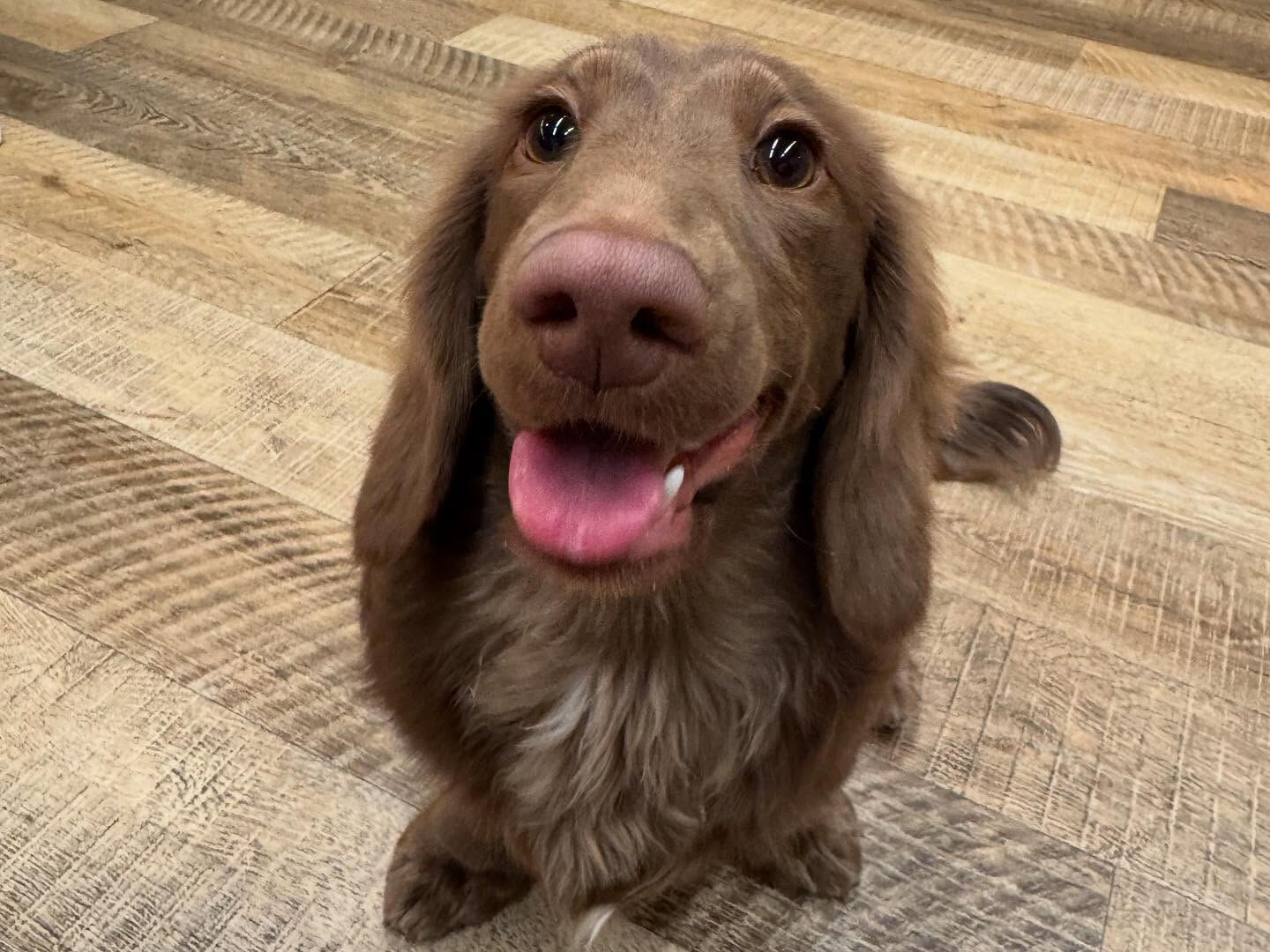 本日の幼稚園、PARKの様子です🐶💕