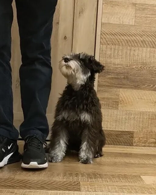 本日の幼稚園、PARKの様子です🐶💕