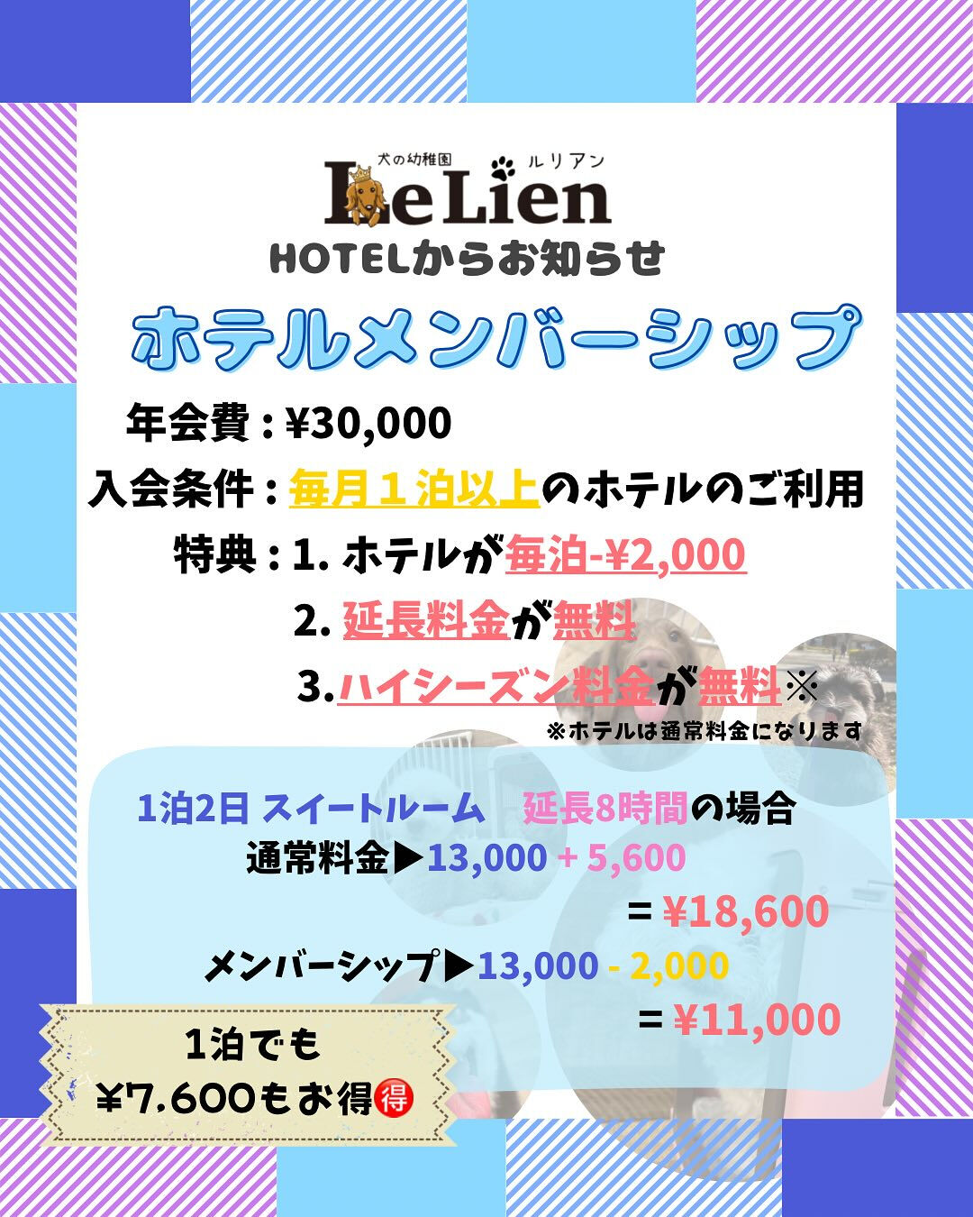 犬の幼稚園 ルリアンのホテルより