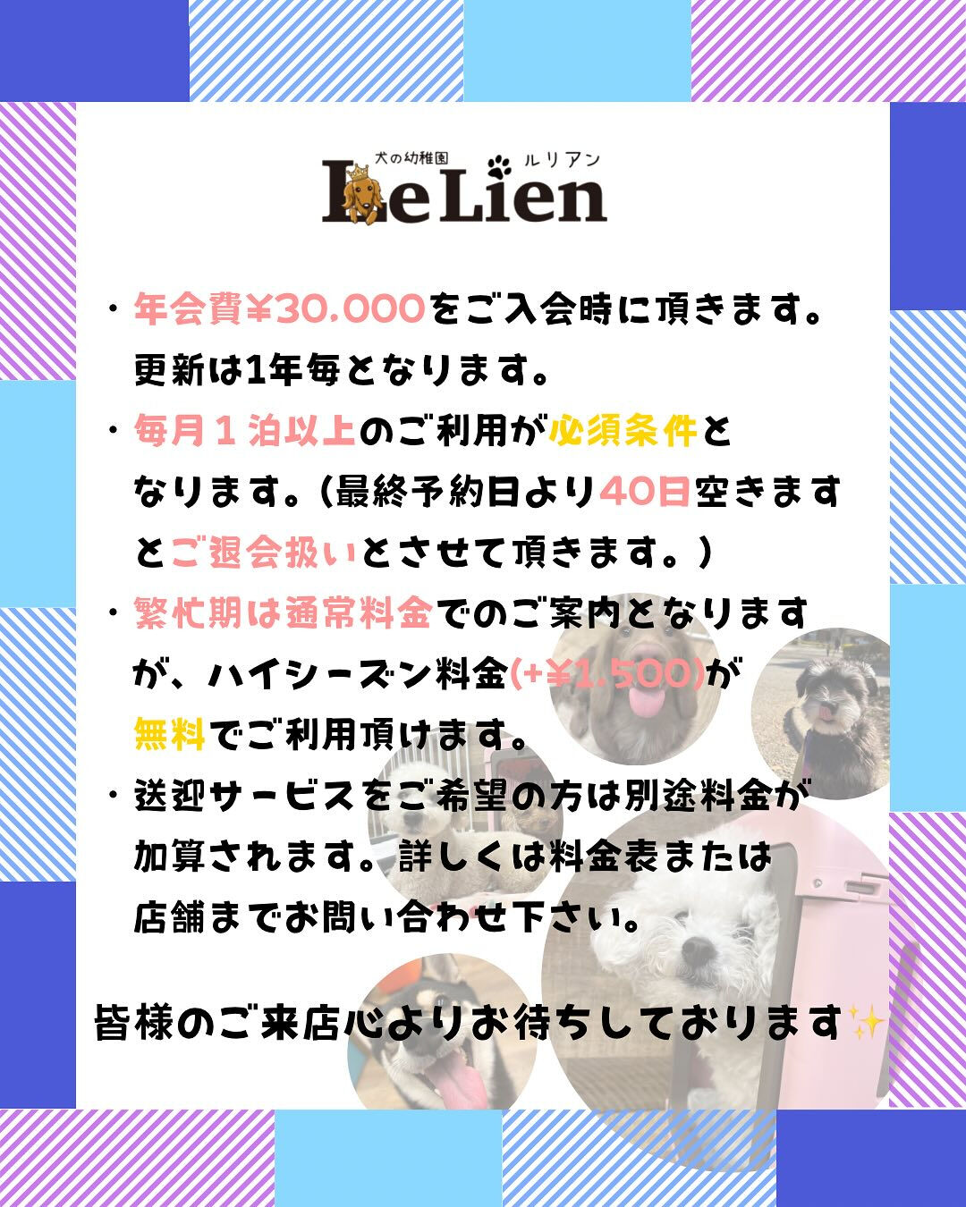 犬の幼稚園 ルリアンのホテルより