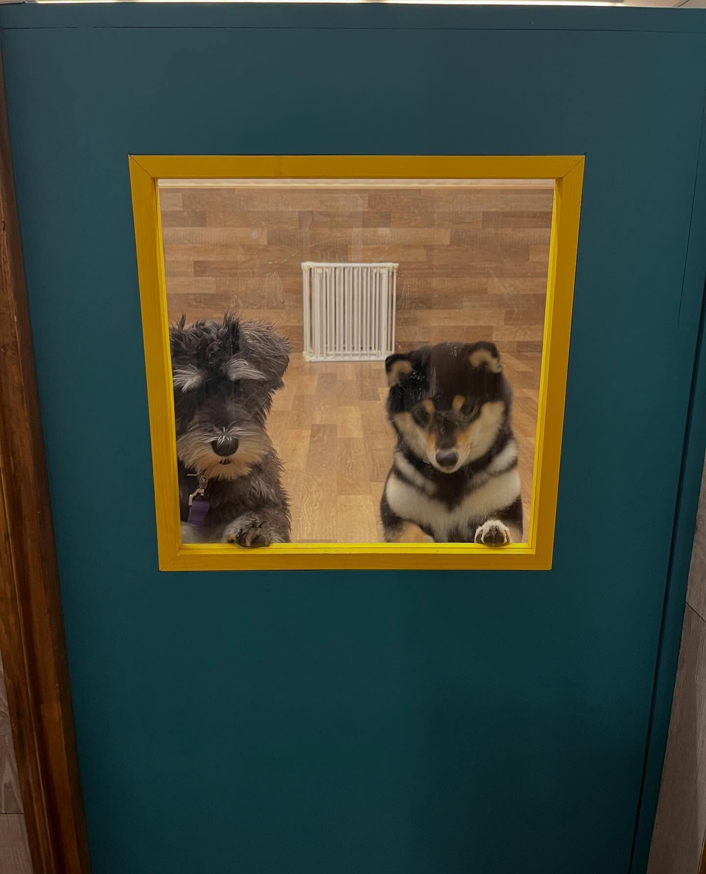 本日の幼稚園、PARKの様子です🐶