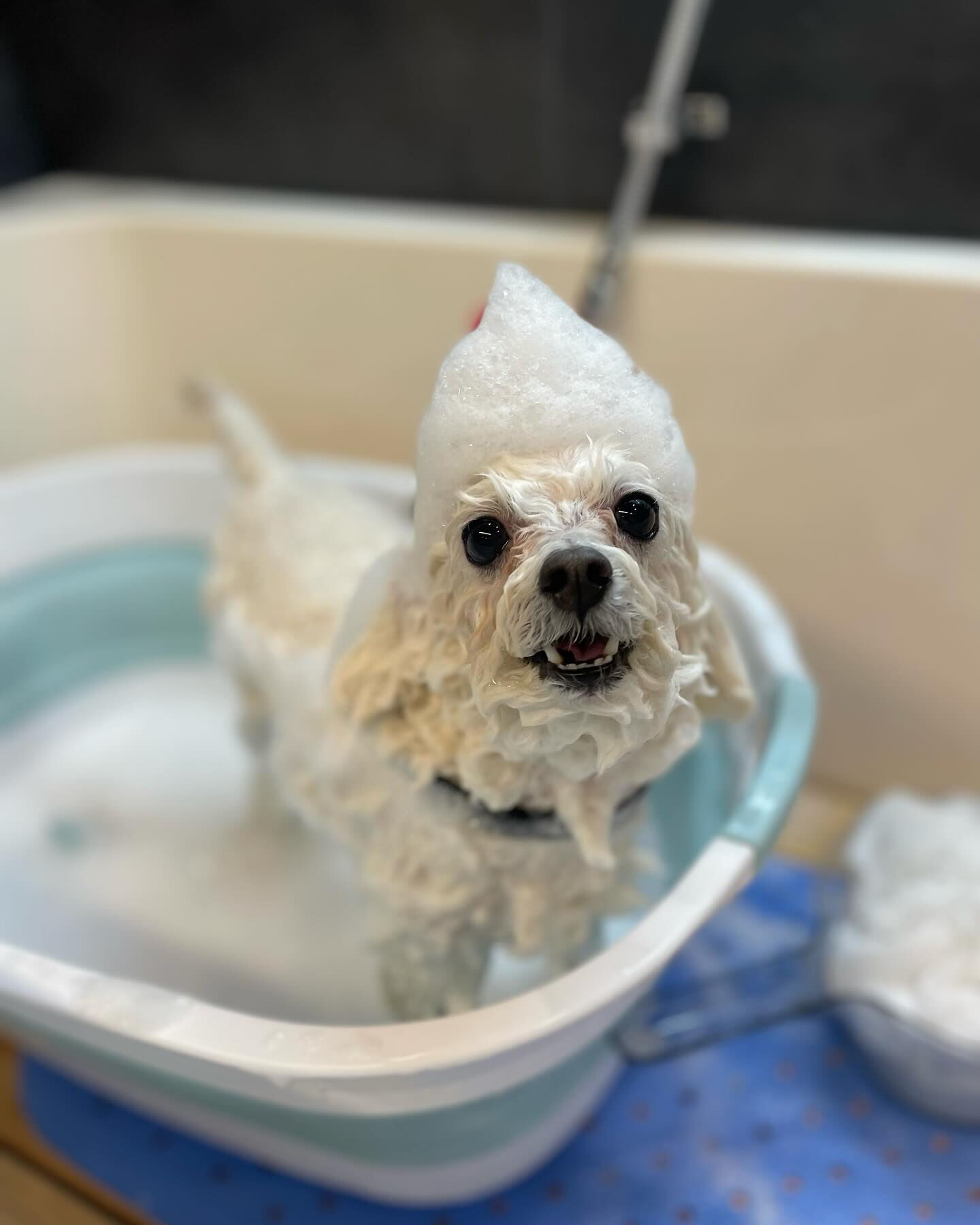 .