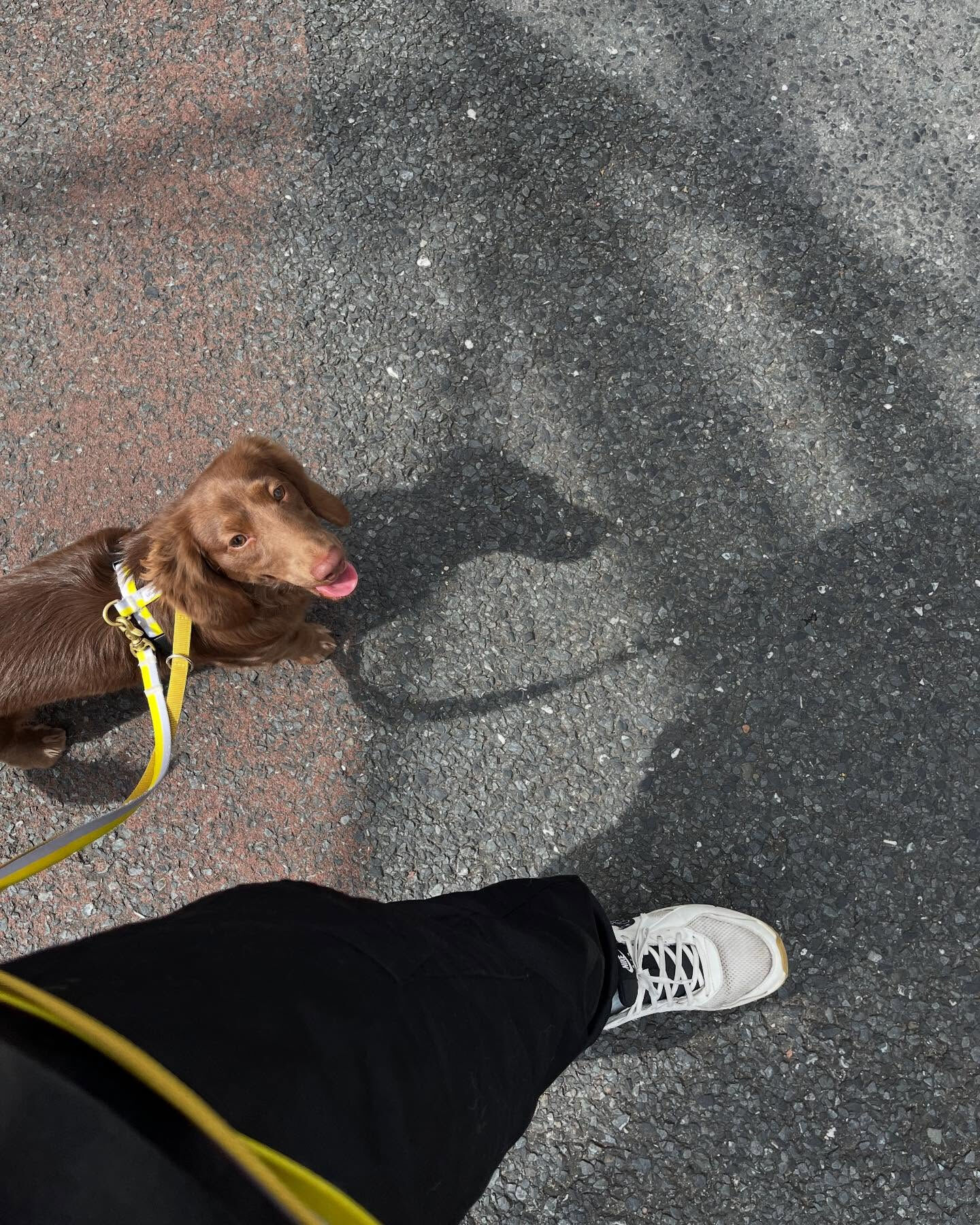 本日の幼稚園、PARKの様子です🐶