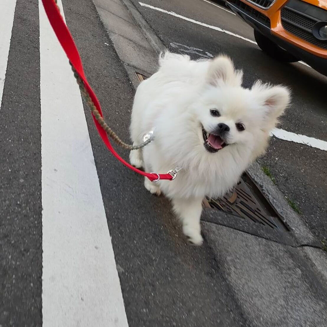 本日の幼稚園、PARKの様子です🐶💕