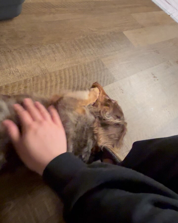 昨日＆本日のホテル、PARKの様子です🐶✨
