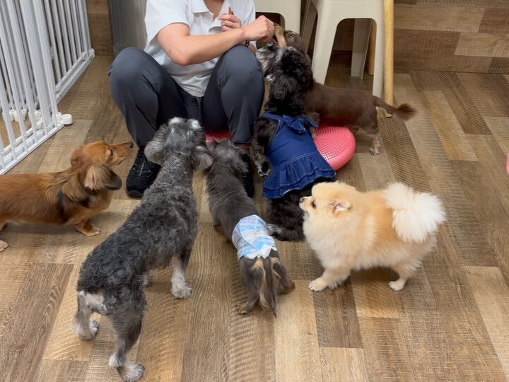 本日のPARK、HOTELの様子です🐶💕