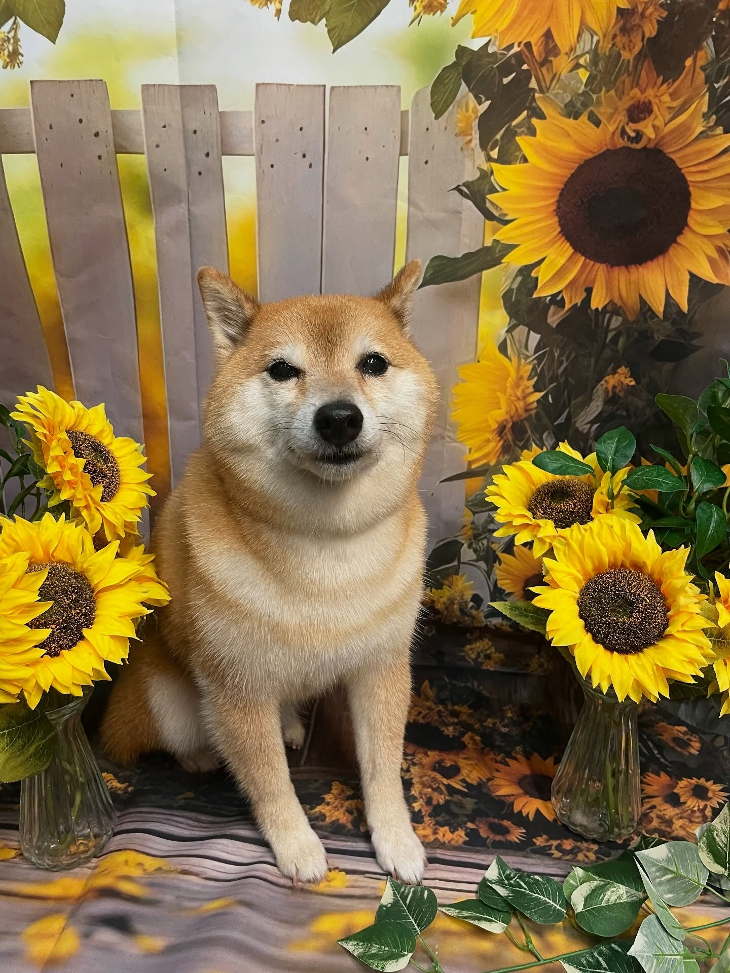 .