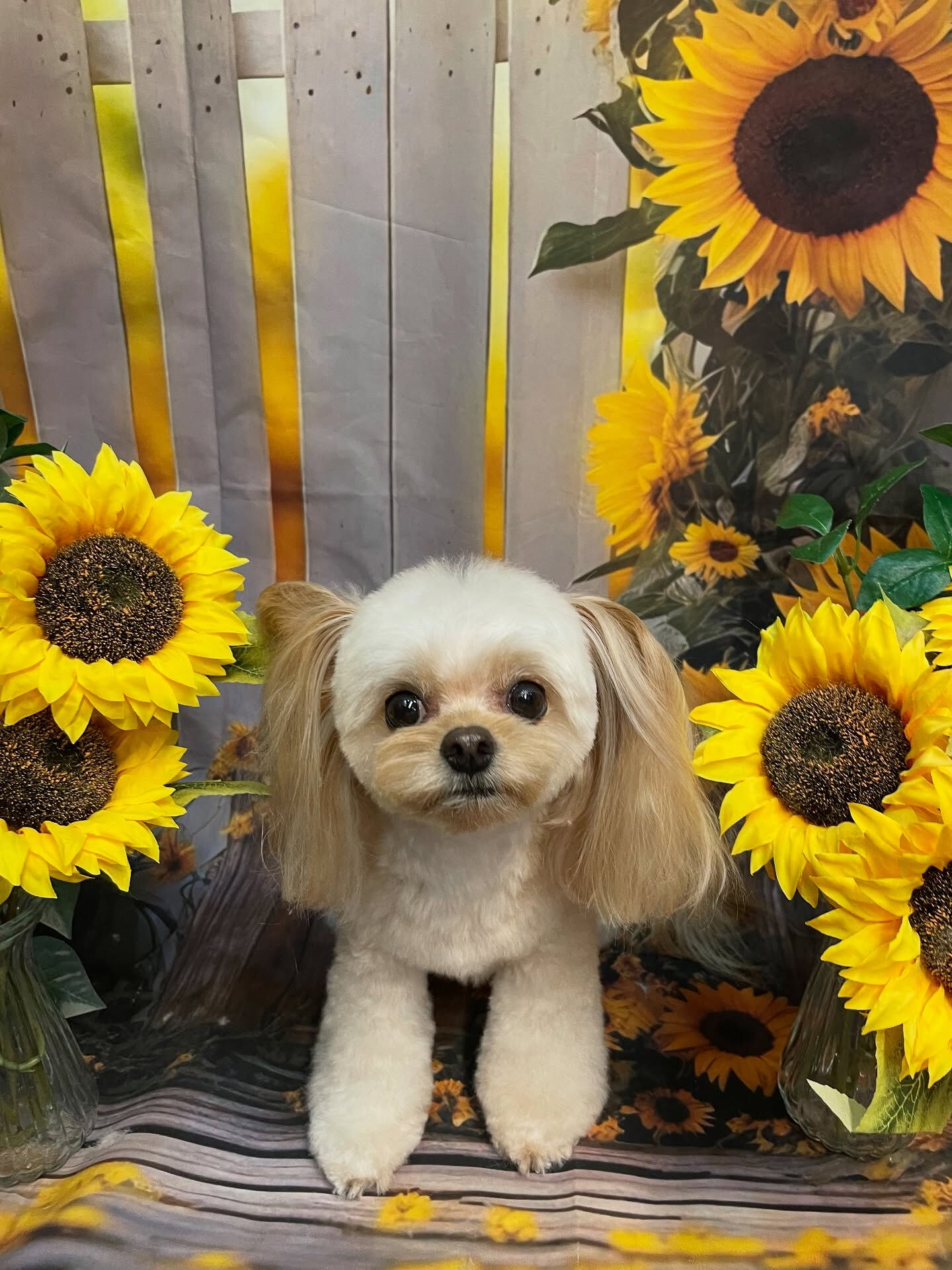 .