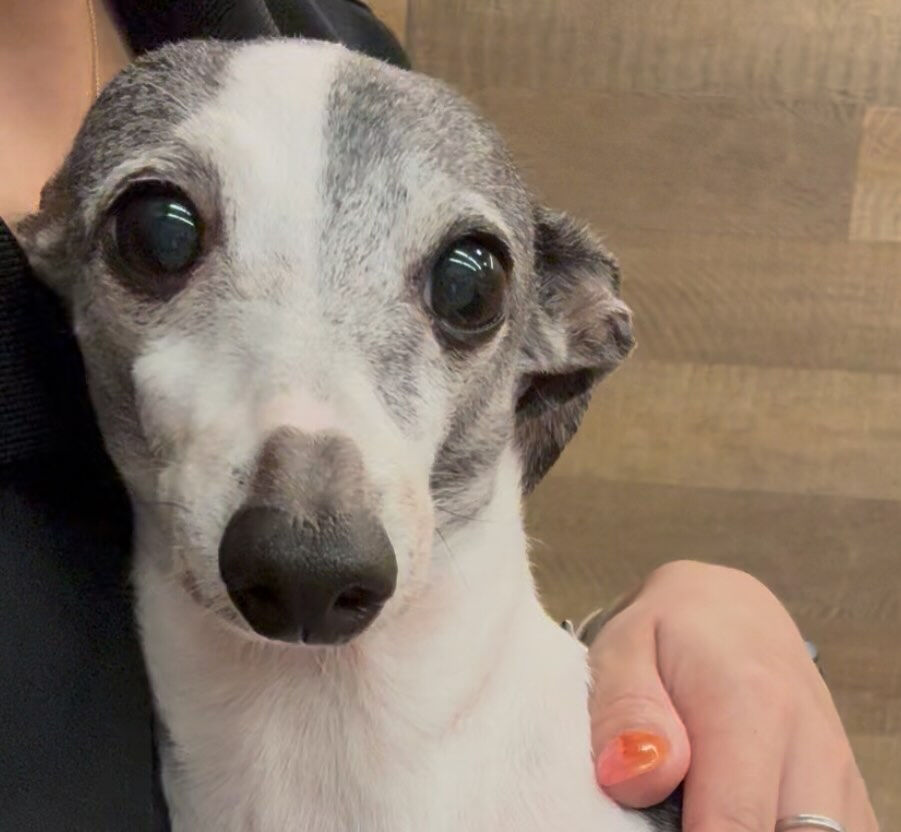 本日のPARK、ホテルの様子です🐶💕