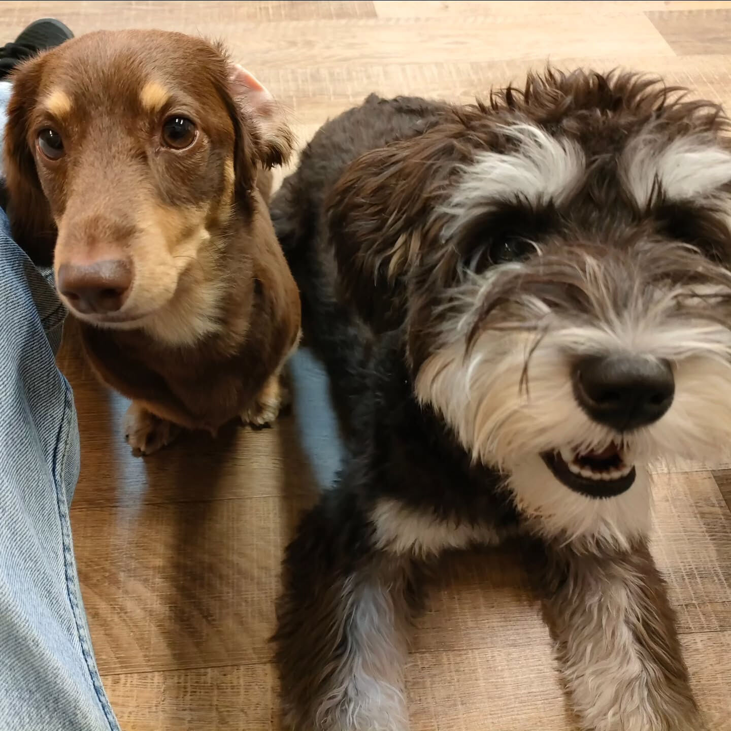 本日の幼稚園、PARKの様子です🐶💕