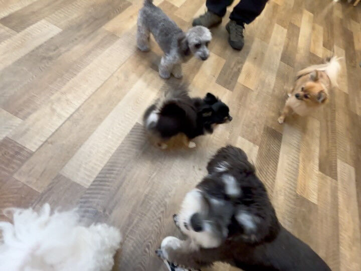 本日のHOTEL、PARKの様子です🐶💕