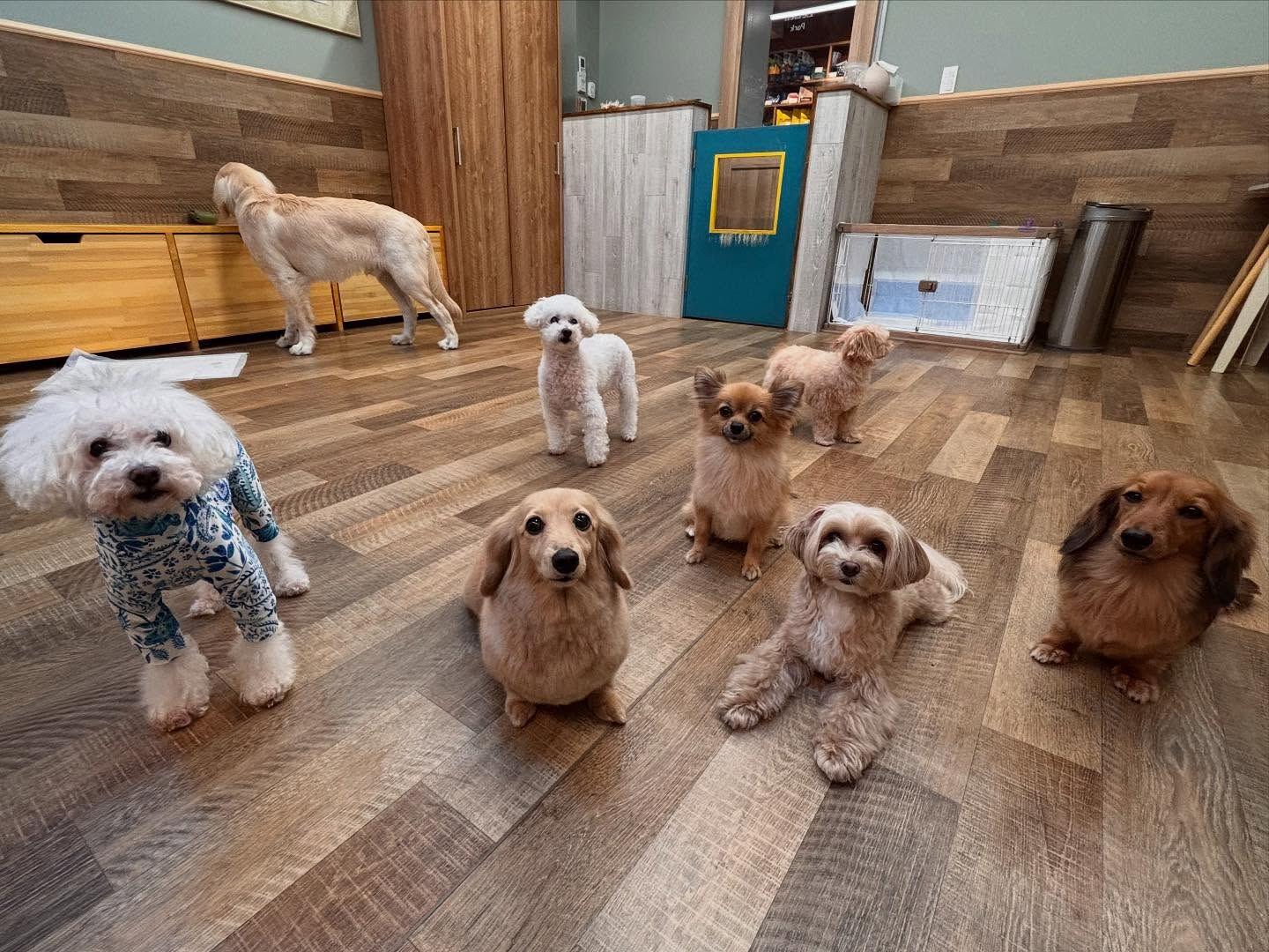 本日のHOTEL、PARKの様子です🐶💕