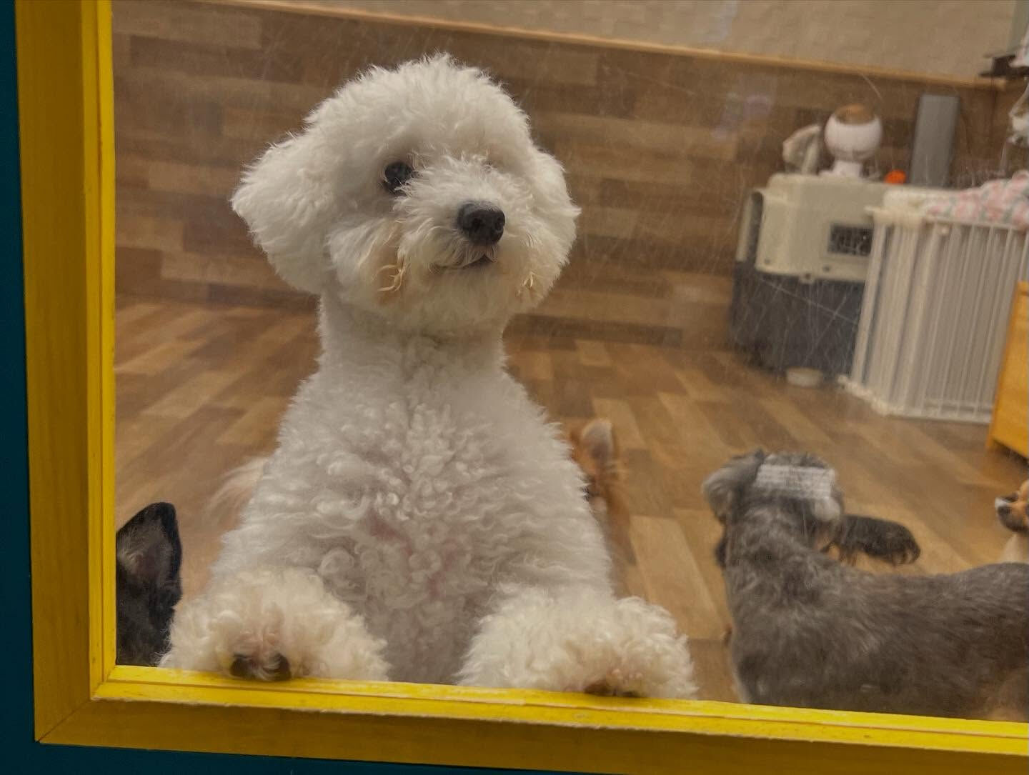 本日のHOTEL、PARKの様子です🐶💕