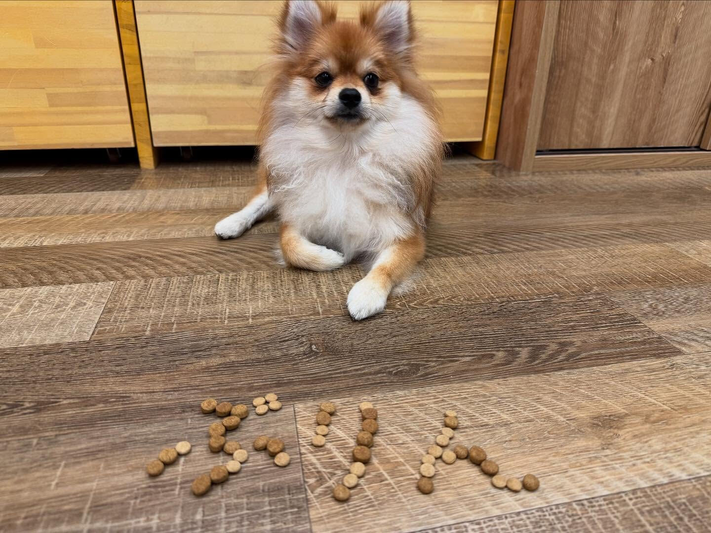 本日のHOTEL、PARKの様子です🐶💕