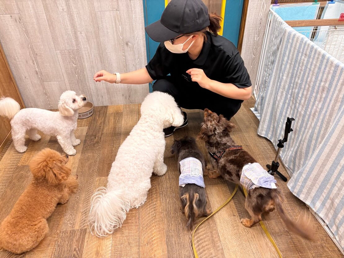 本日の幼稚園、PARKの様子です🐶